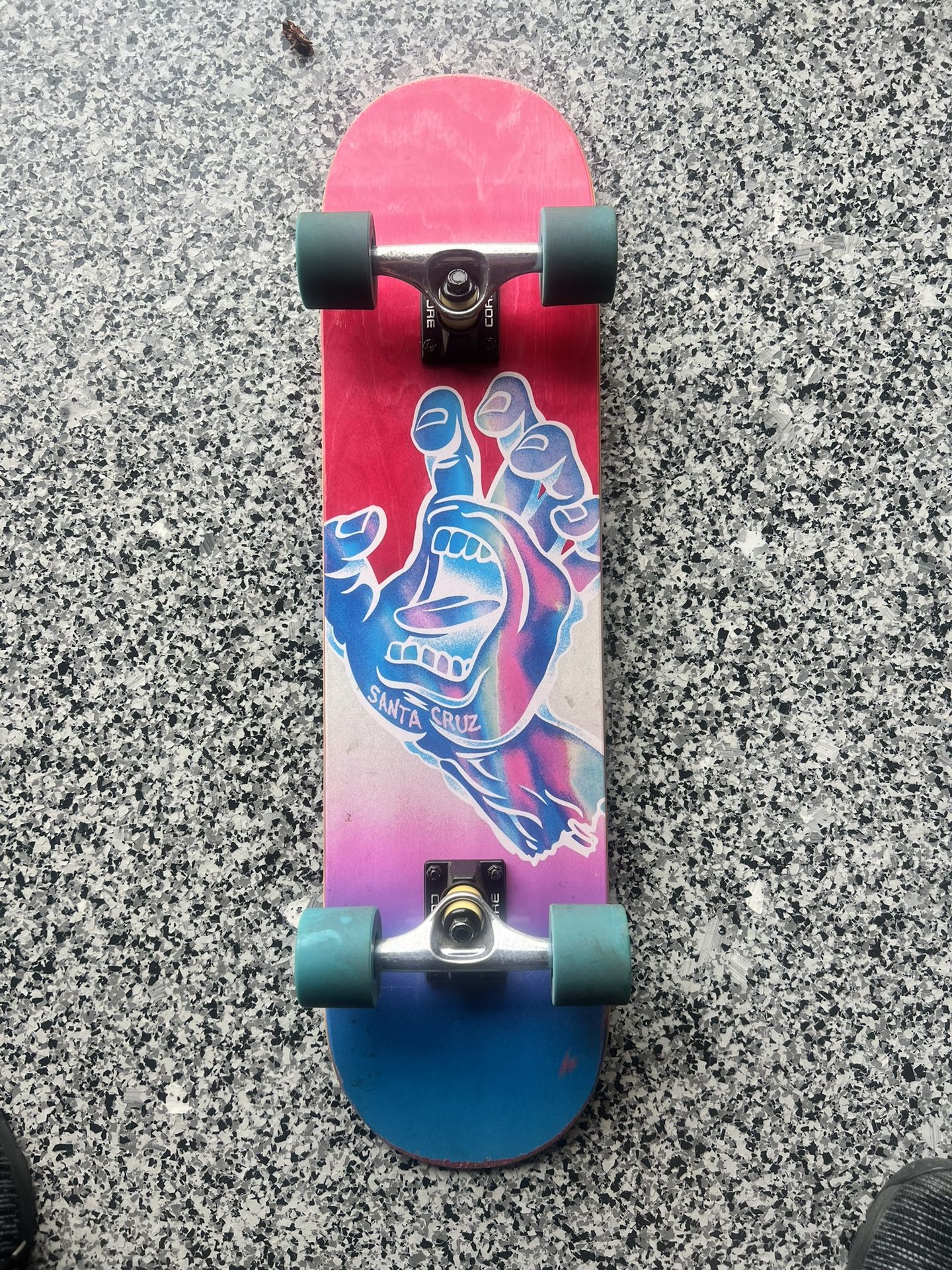 Santa Cruz Skateboard
