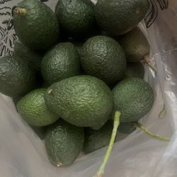 Aguacates