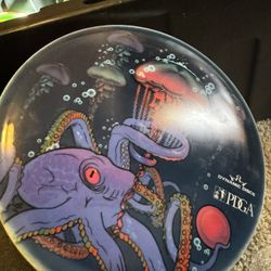 Disc golf PDGA official 