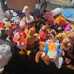 Beanie Baby's 