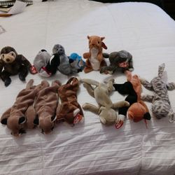 Beanie Babies