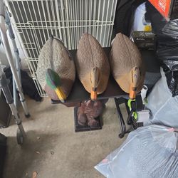 Decoy Ducks