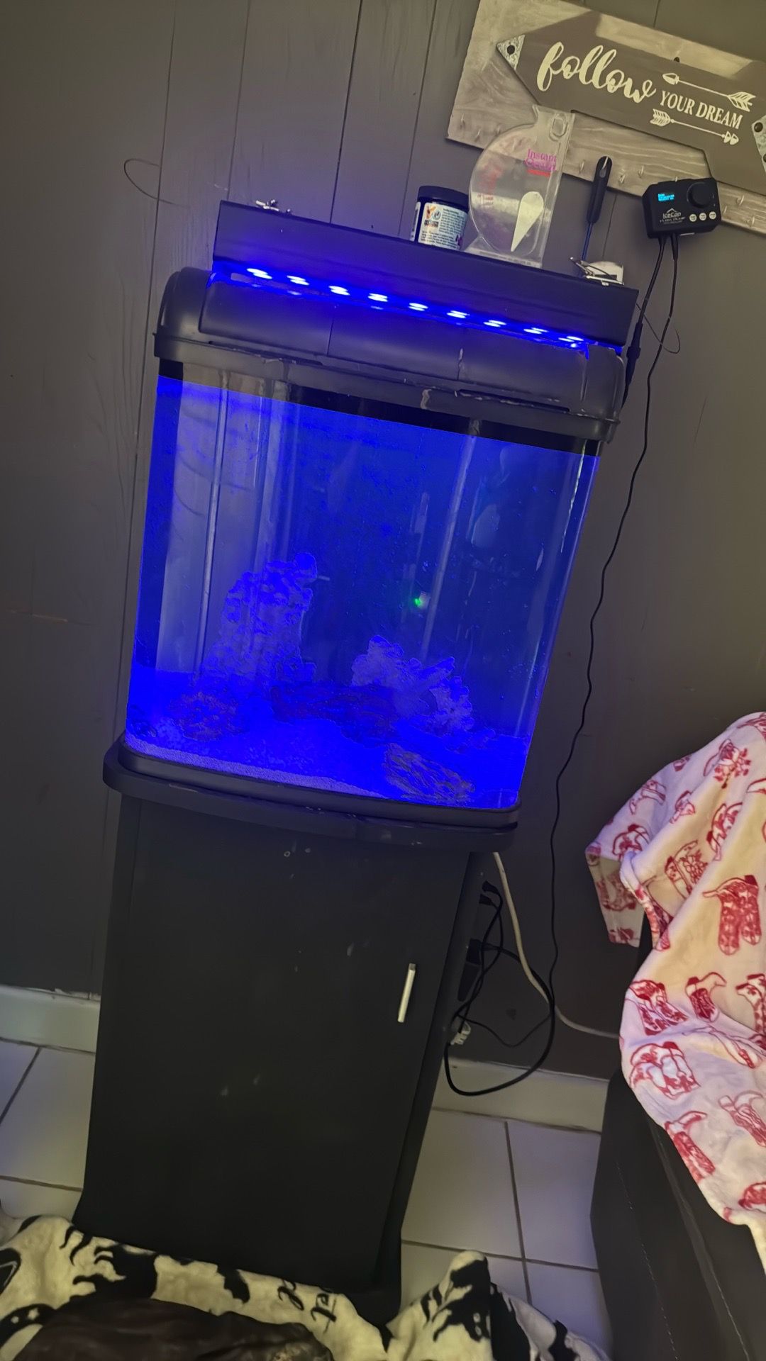 Salt water tank