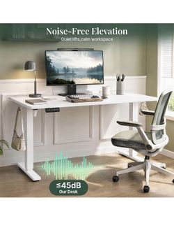 Electric Standing Desk,55in white
