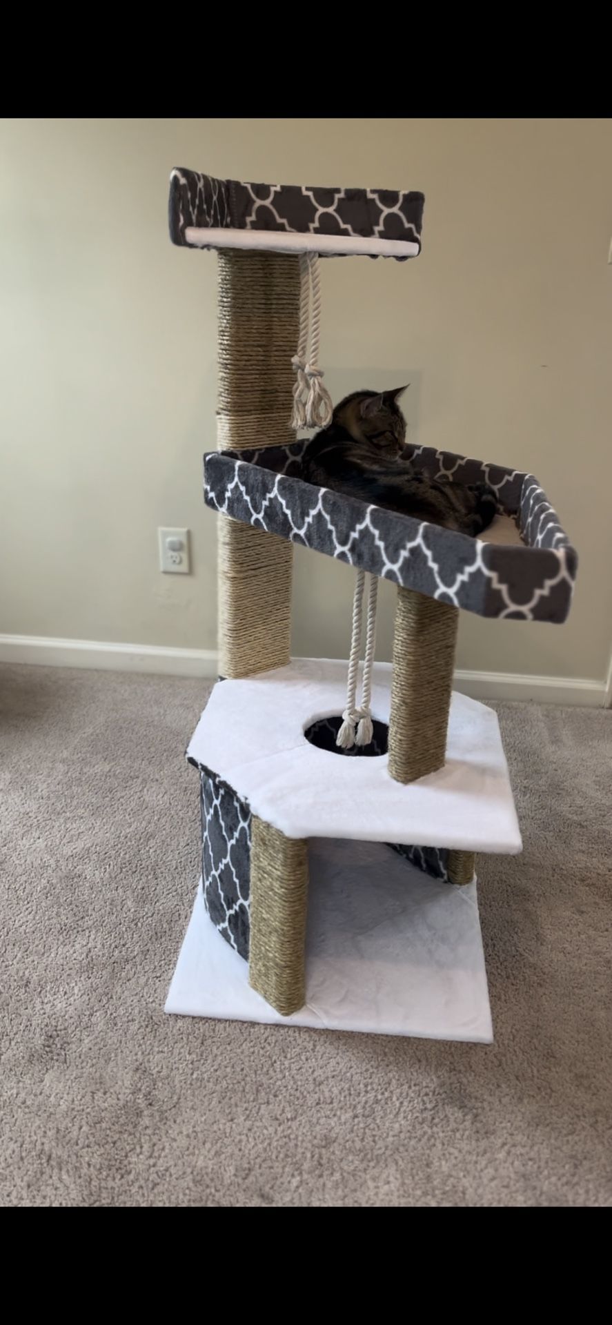 Cat Bed
