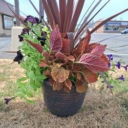 Mixed Flower Pot