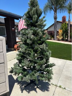Christmas tree
