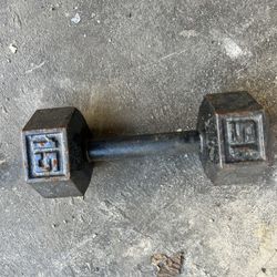Weight For Exercise Just 1 (no Pair)