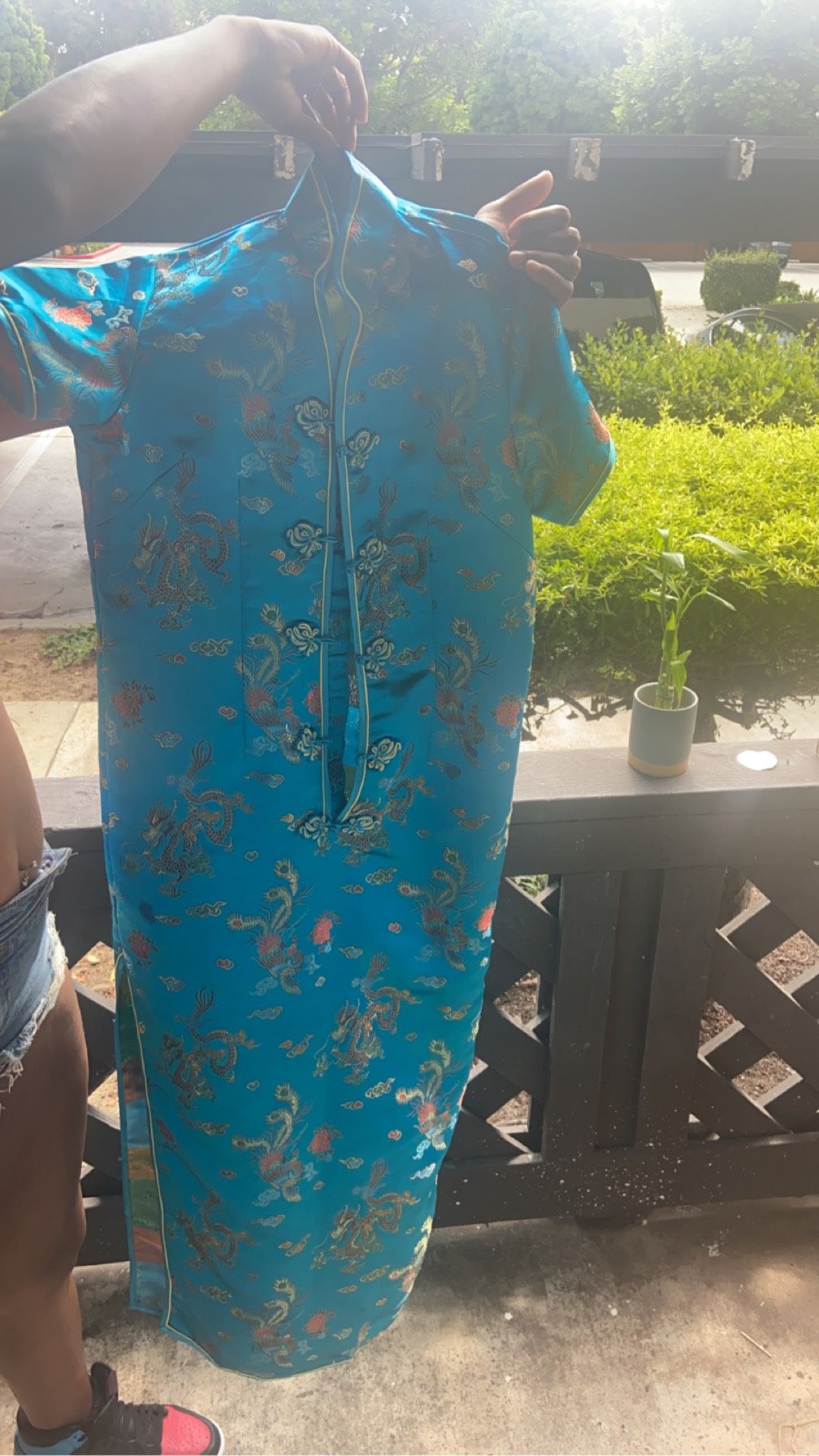 Chinese Eastwind Dress