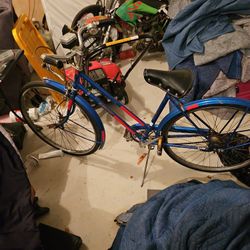 Raleigh Bicycle 