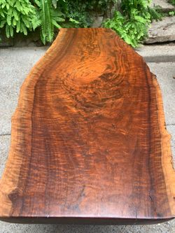 Walnut live edge coffee table, 60" long