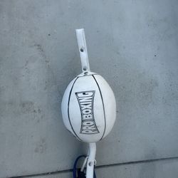 Boxing Double end bag infused foam 