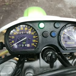 Kawasaki KLX  250