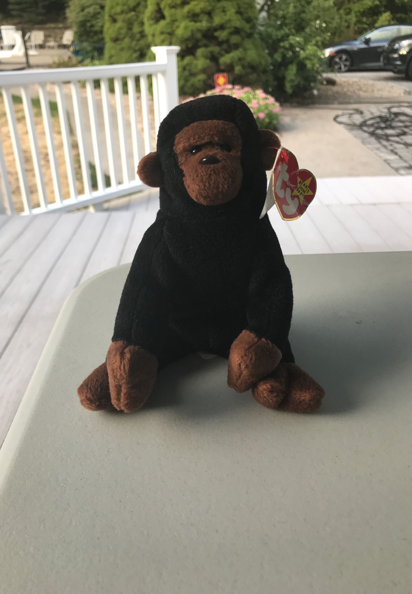 Congo gorilla beanie baby