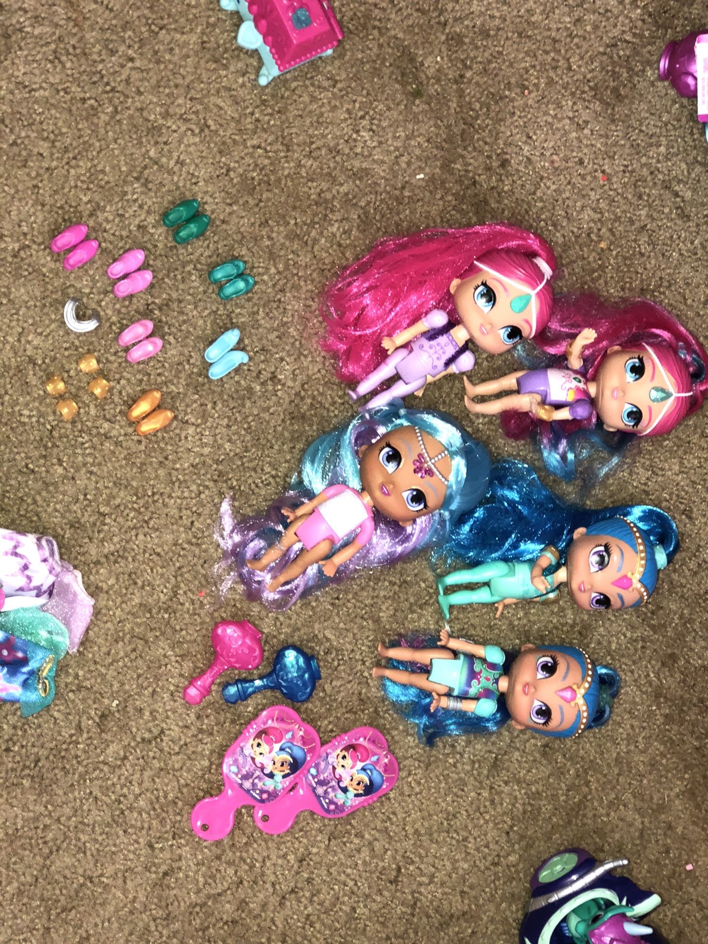 Shimmer and Shine Assortment
