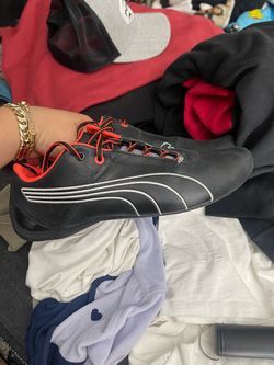 pumas
