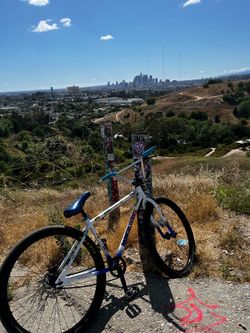 29in bike radical rick