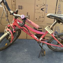 Girls 20” BCA Cross fire Watermelon Bike