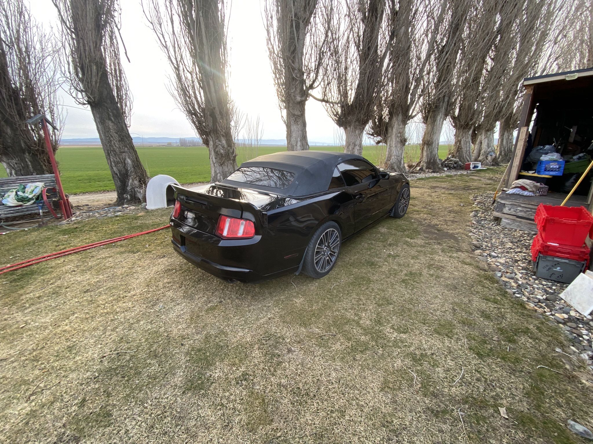 2010 Ford Mustang
