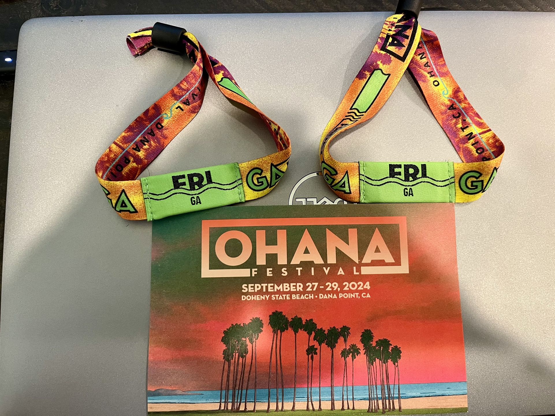 Ohana Festival Fri GA