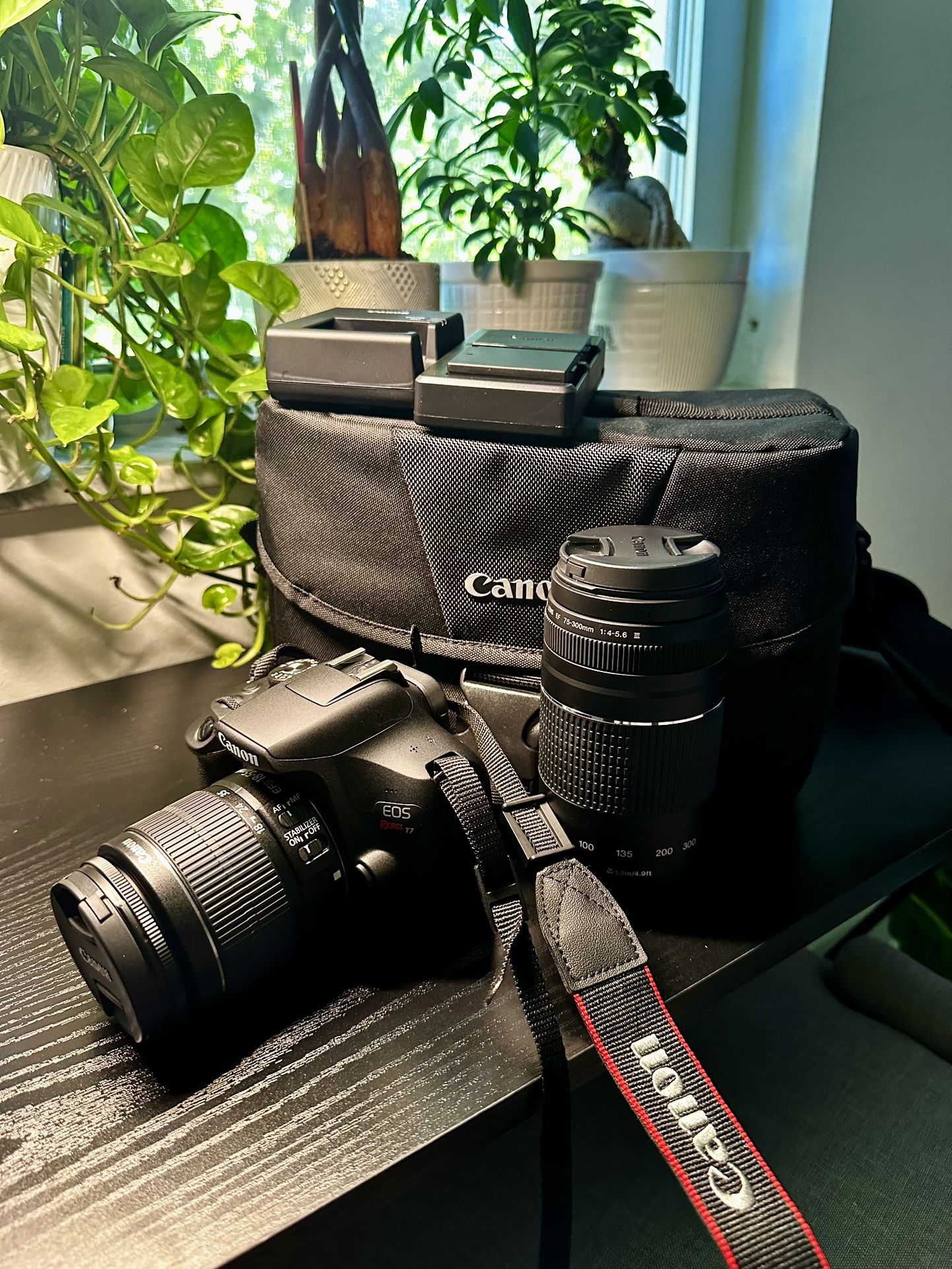 Canon - EOS Rebel T7 DSLR Video Two Lens Kit with EF-S 18-55mm and EF 75-300mm Lenses - Black