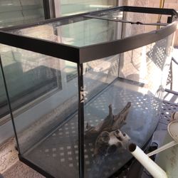 40 Gallon Tank  OBO