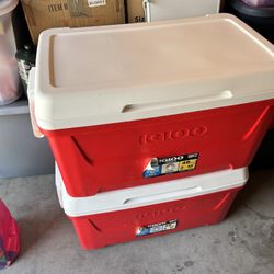 45qt Cooler Igloo 