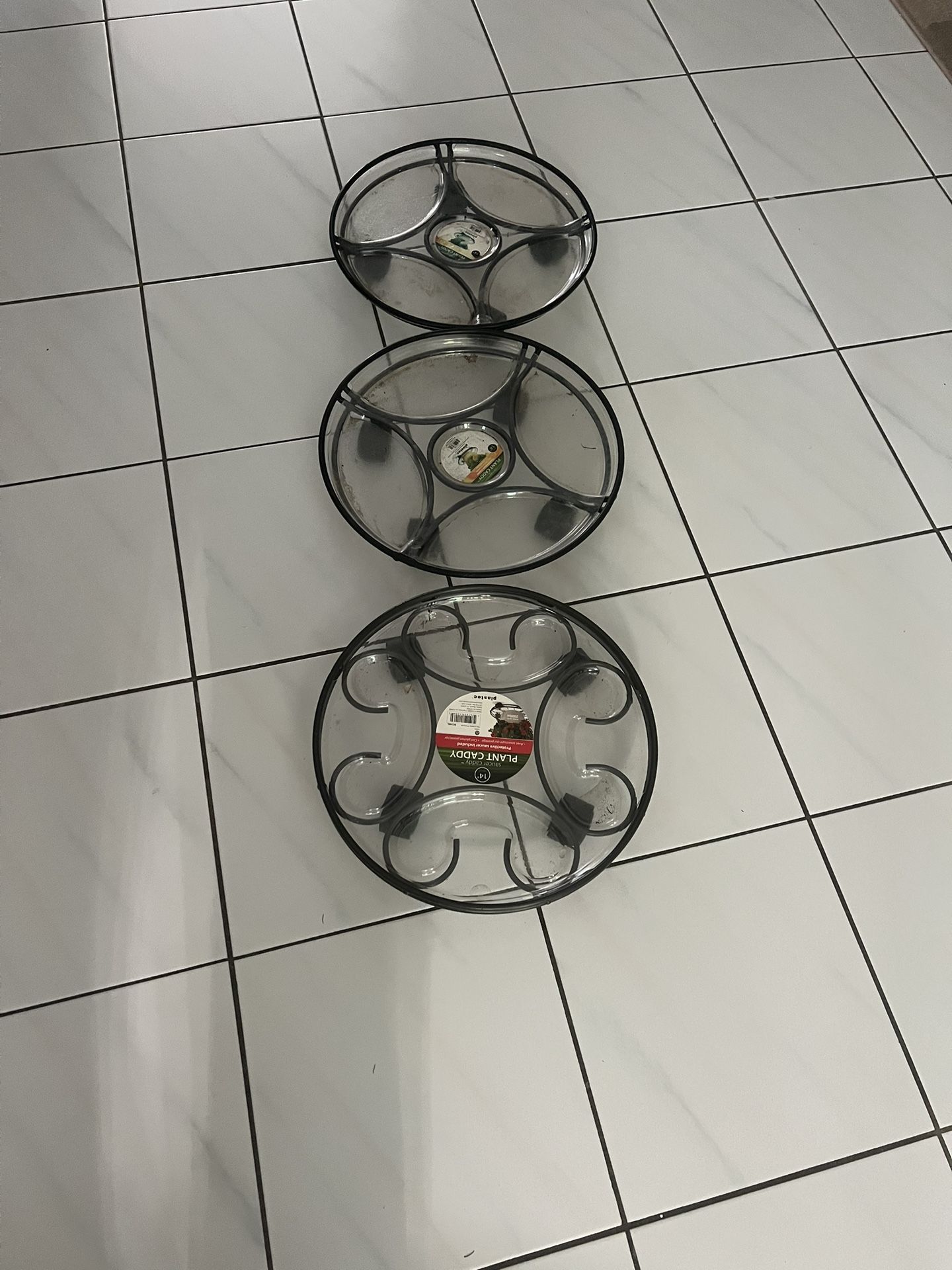 Three Plants Sitting With Wheels, Brand New