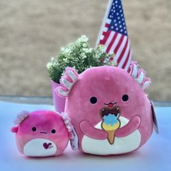 squishmallow set 8”&5”