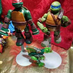 TMNT, Transformers Lot
