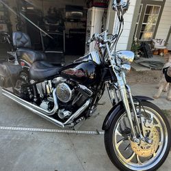 99 Harley Davidson Soft Tail Springer
