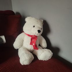 🐻 