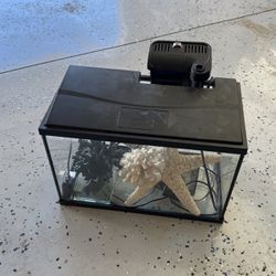 Fish Tank  5.5 Gallons