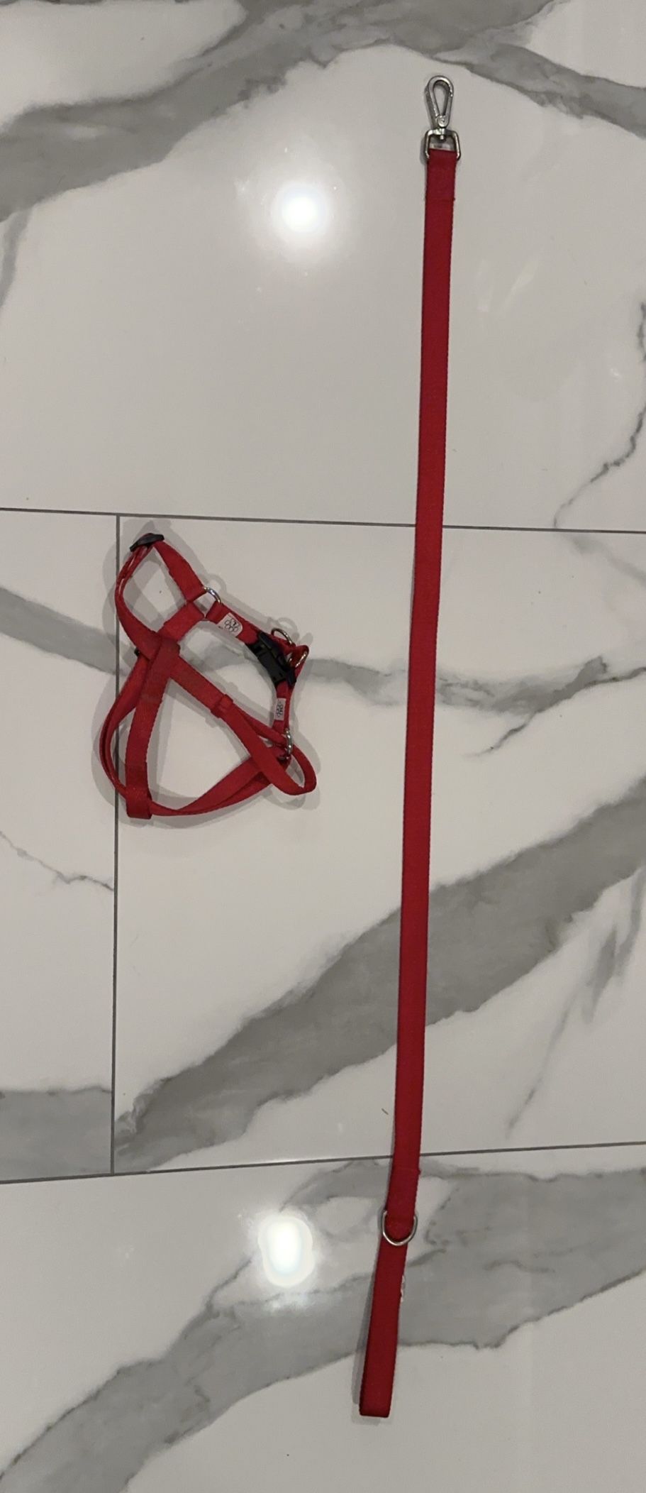 Dog Harness And Leash (SET)