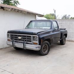 1979 Chevy Cheyenne Stepside Parts