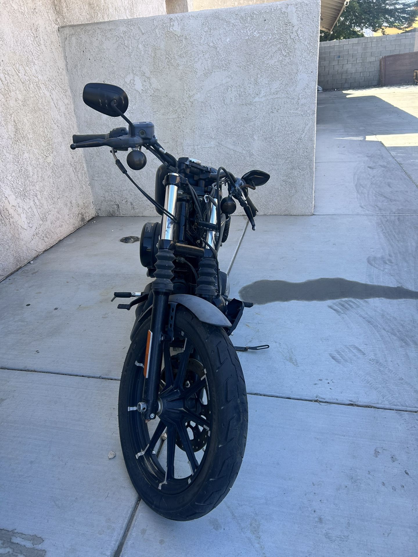 Harley Davidson , Black 883
