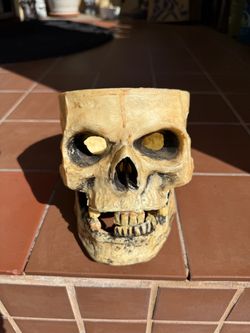 Halloween Human Skull Replica