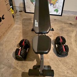 Bowflex/SelectTech Adjustable/Dumbbell/Set/with/adjustable/bench 