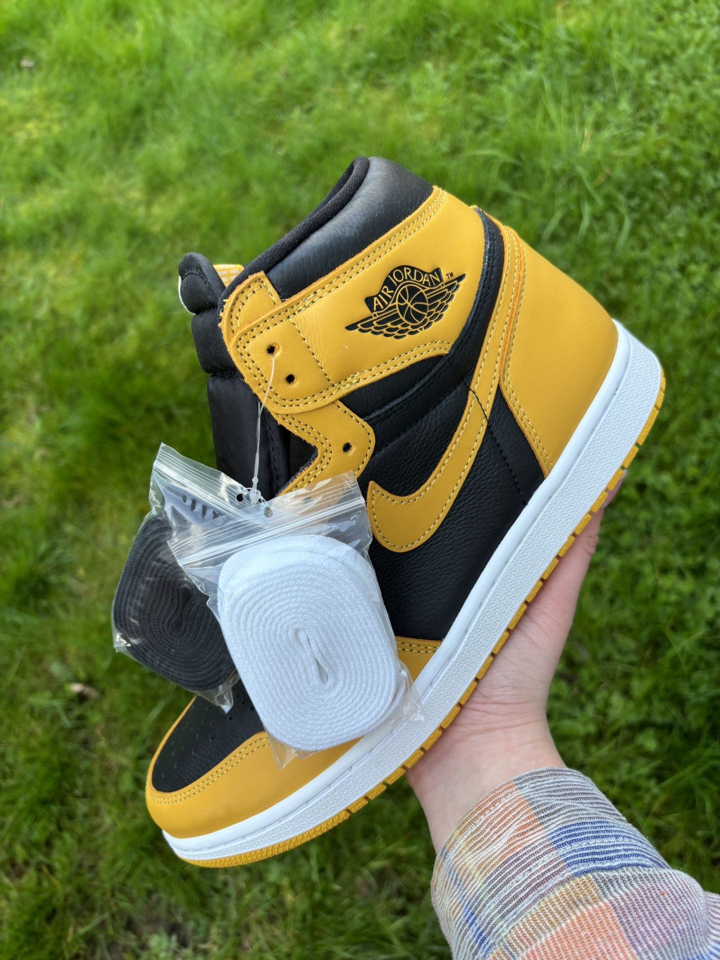 Jordan 1 Pollen
