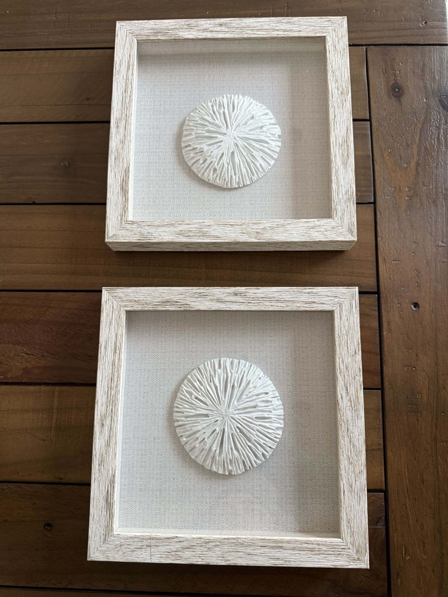 Sand Dollar Wall Art- Set Of 2