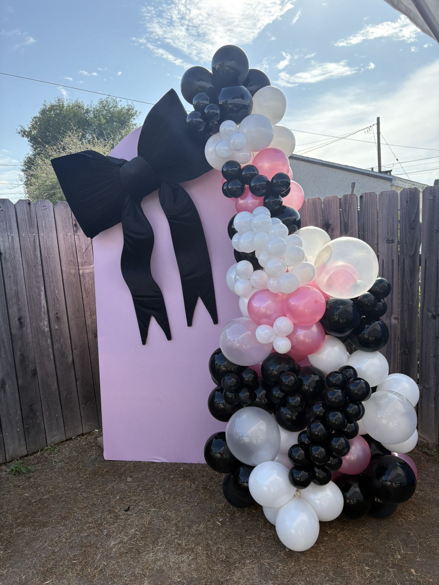 Balloon Arch