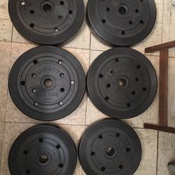 Legacy Weight Plate Round Standard 1 Hole Vinyl 