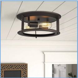 Emliviar Ceiling Light YE19108-F2 ORB