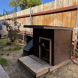 Dog House 