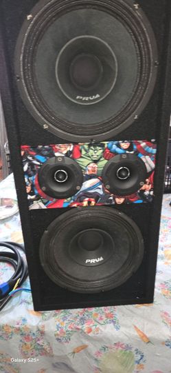 10" prv chuchero and 2 ds18 tweeters