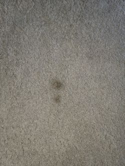 RAG