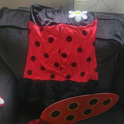 Teen Ladybug Costume