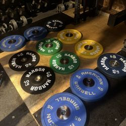 Rubber And Urethane Olympic Weight Plates 