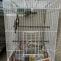 Bird Cage 