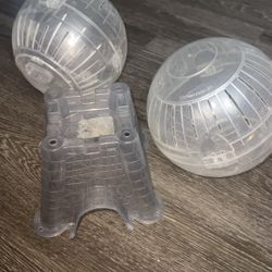 Hamster/ Guinea Pig House And Balls 